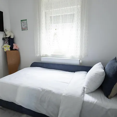 Apartment Albijanic *