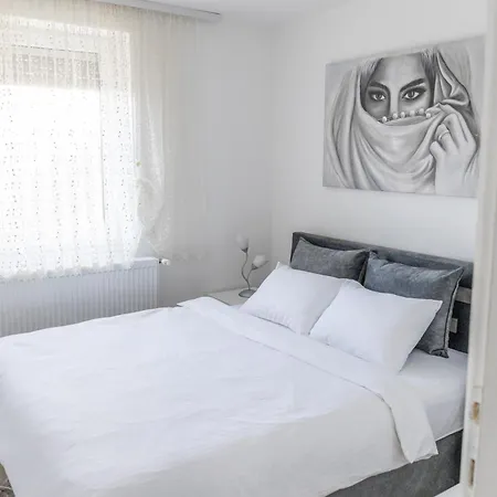 Apartman Albijanic *