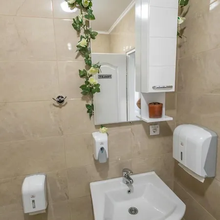 Albijanic Apartment *