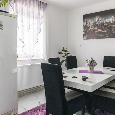 Albijanic Apartment *