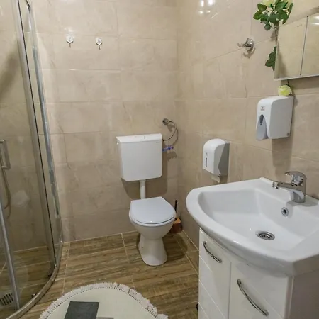 Albijanic Apartment *